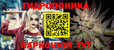 скорость Обь