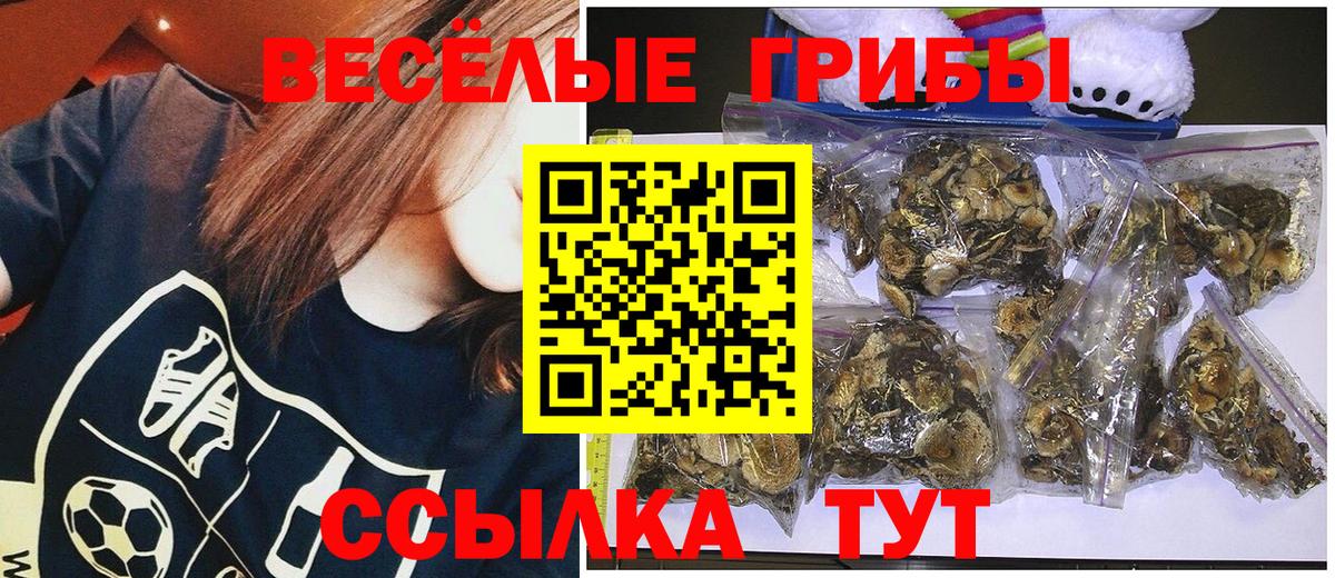 Псилоцибиновые грибы Psilocybine cubensis Советская Гавань